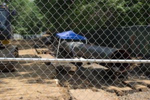 transco princeton photo 5